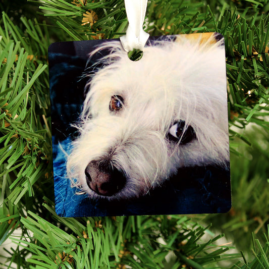 Personalized Photo Ornament on Metal (Square 2.75"x2.75", 1-Sided)