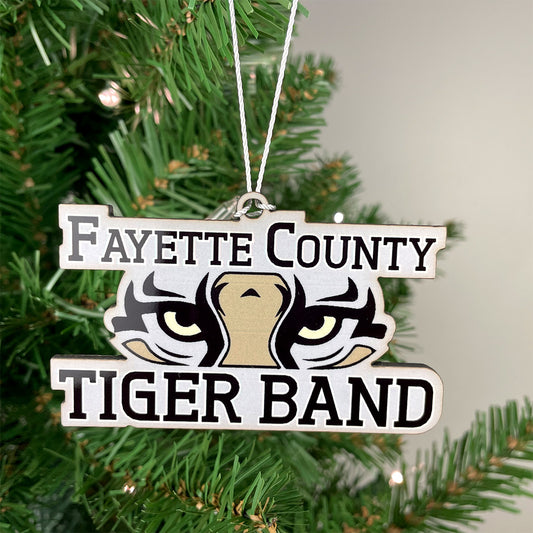 Fayette County High School Marching Band
